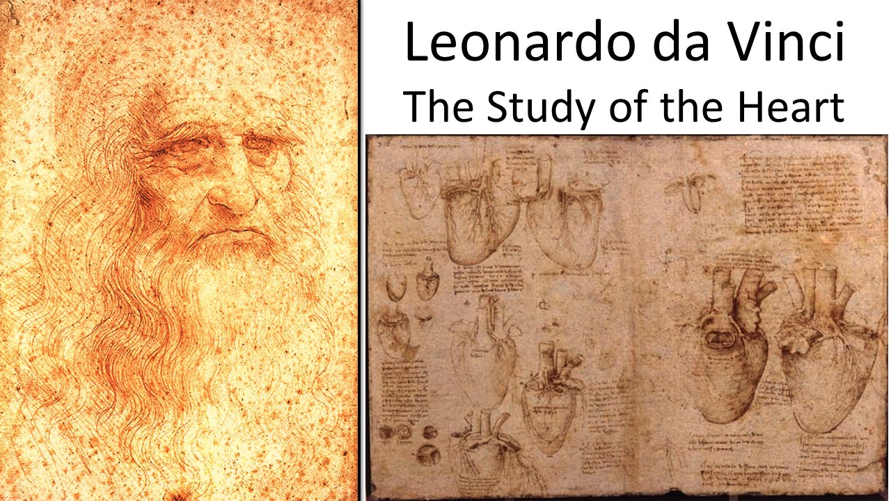 Leonardo da Vinci, a Polymath - The Study of the Heart  