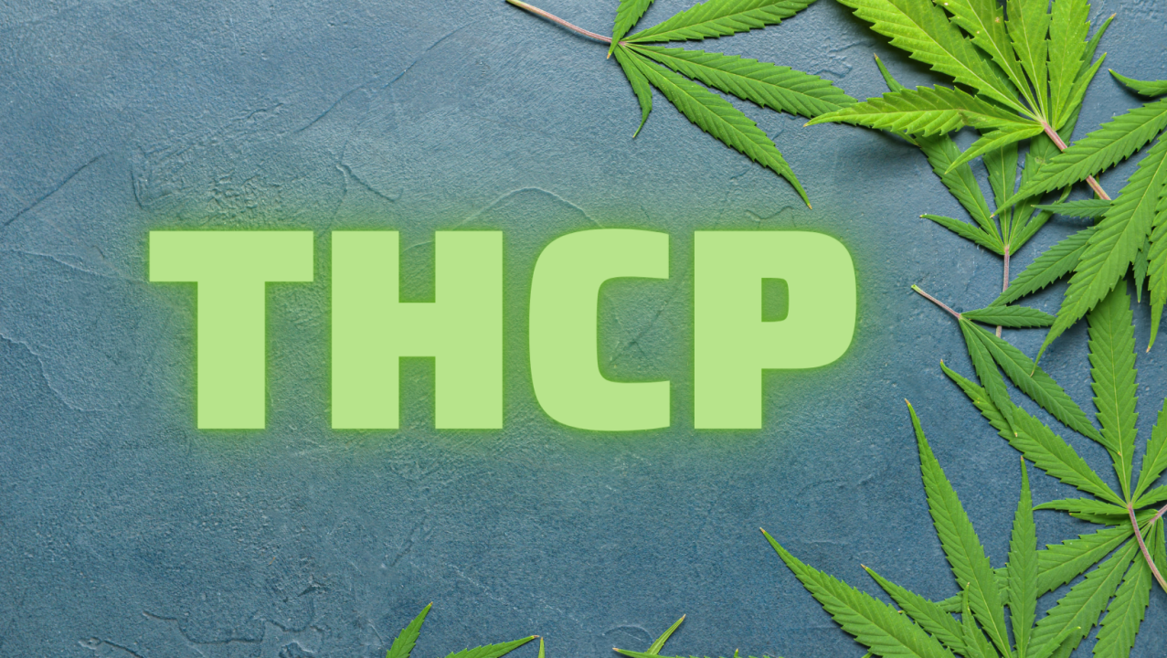 THCP: 30 Times Stronger Than THC?