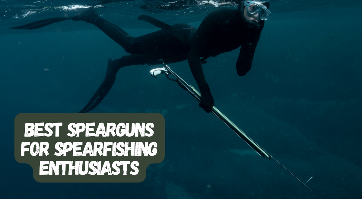 Best Spearguns🐟: Expert Reviews & Top Picks for Spearfishing
