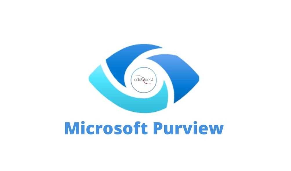 Microsoft Purview: A Leader in Data Security, Price, and ROI