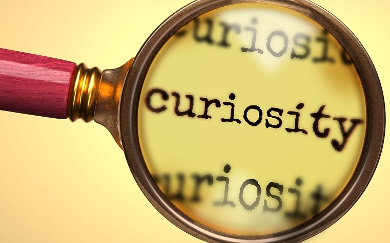 Why Curious People Are Destined for Leadership Why Curious People Are Destined for Leadership