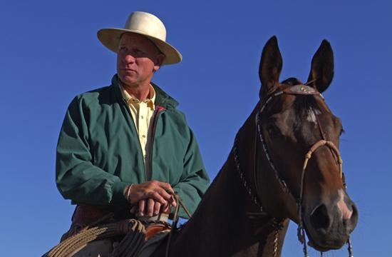 Unveiling the Power of Natural Horsemanship with Buck Brannaman: A Strategy of Respect, Trust, and Understanding

