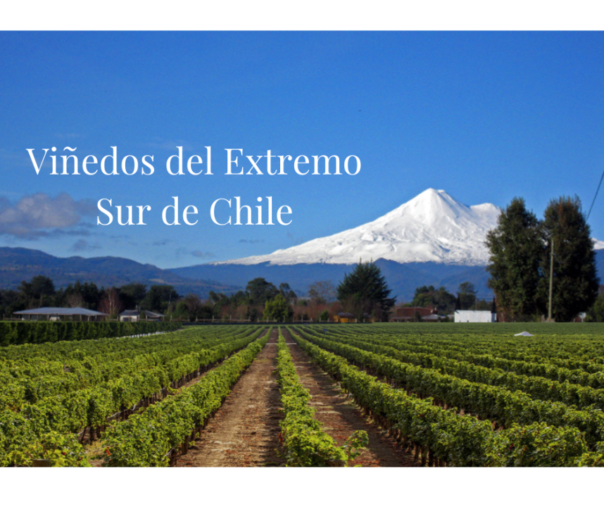 Viñedos del Extremo Sur de Chile