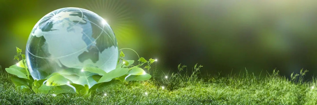 The Importance of Sustainable and Eco-Friendly Products for the Future of Business