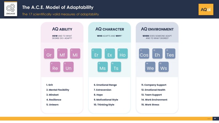 The ACE model of Adaptability