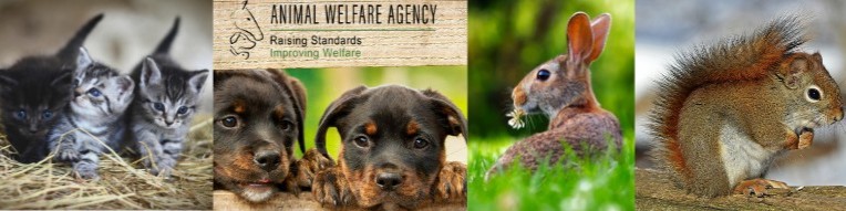 Amanda Gates 🌱 - Founder & CEO/Head of Welfare - Animal Welfare Agency UK  | LinkedIn