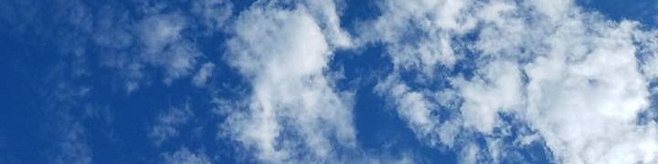 Whitney Boydon Office Assistant IV Escambia County Clerk of Courts Whitney Boydon Office Assistant IV Escambia County Clerk of Courts