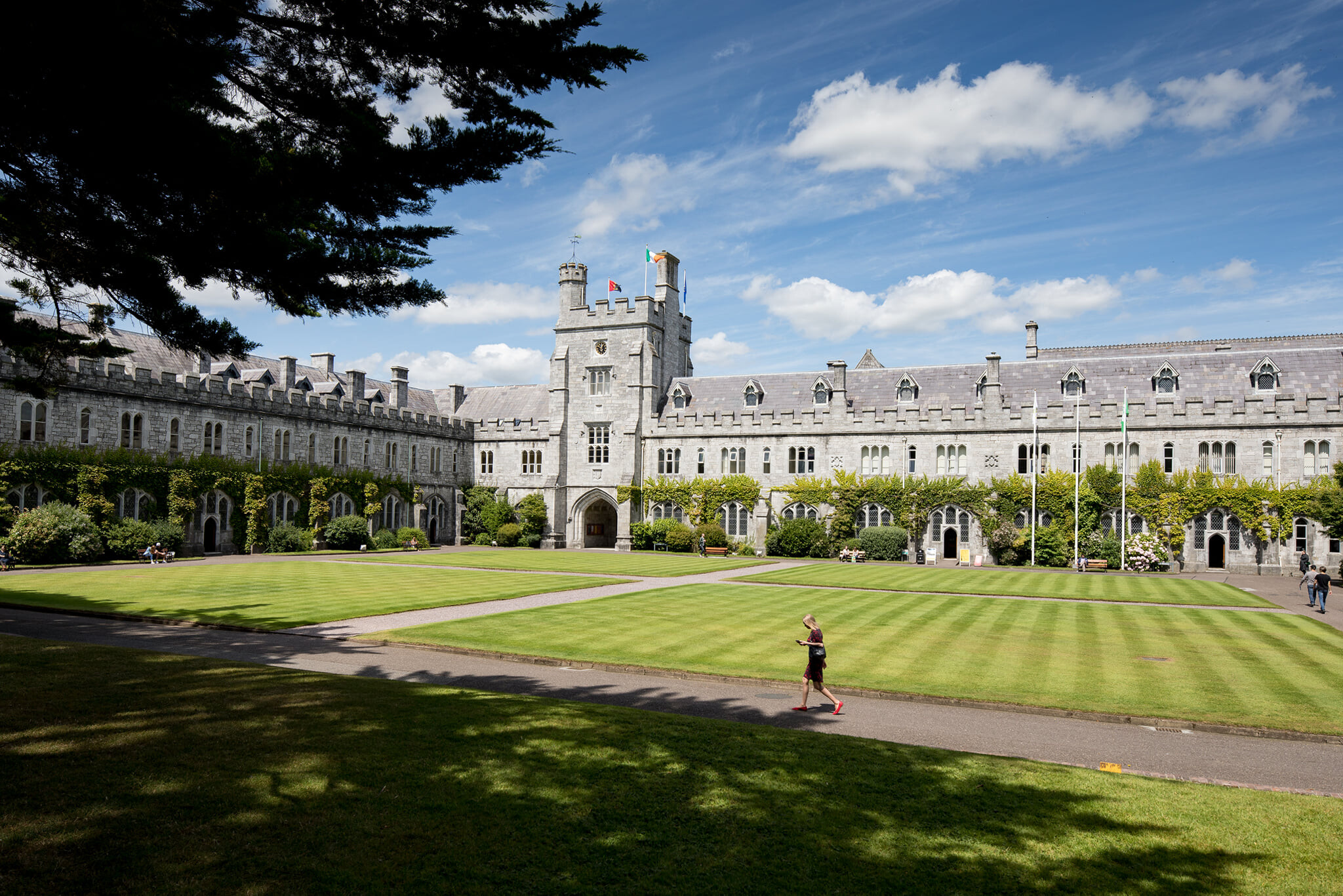 University College Cork on LinkedIn: Ravens ringed and falcons found in ...