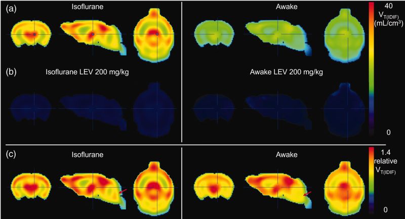 UAntwerp - µNEURO Research Centre of Excellence’s Post