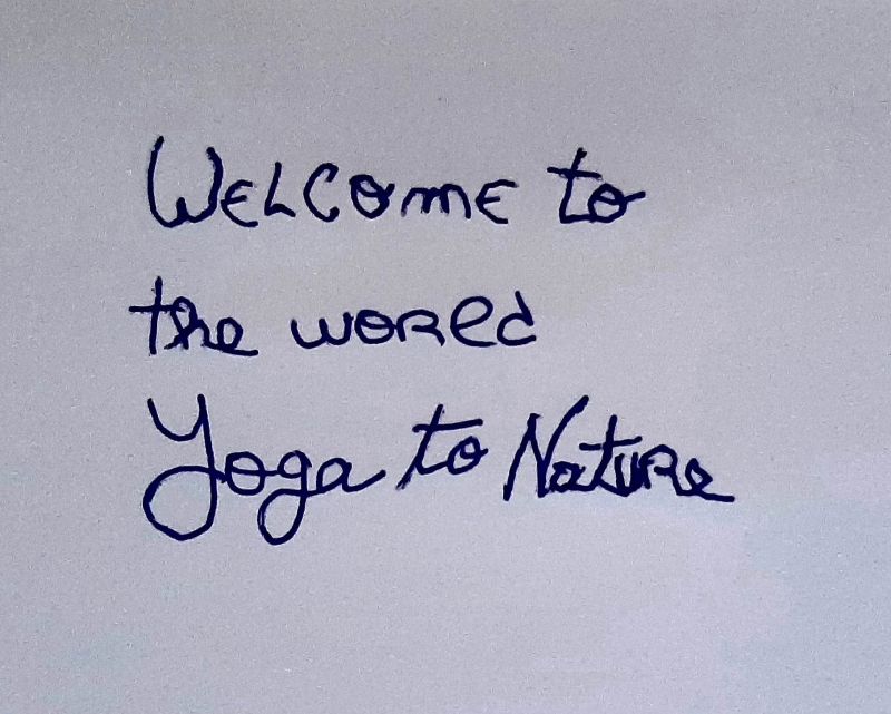 Joana Afonso🤝 on LinkedIn: #yoga #yogapractice #launch #yogatonature  #health #mentalhealthawareness…