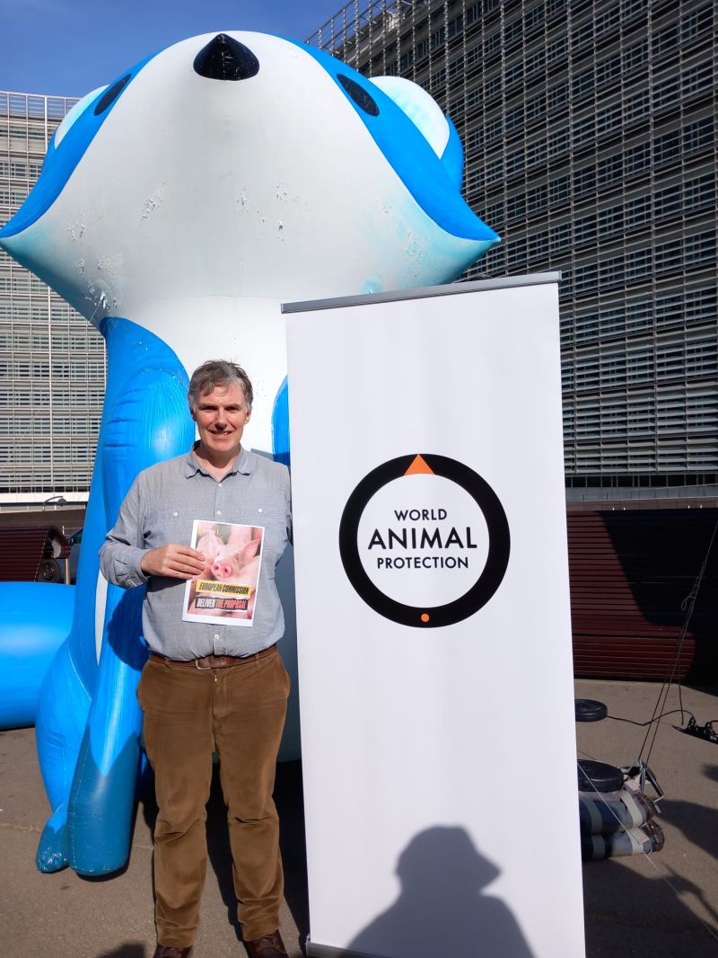 Vince Cinches - Interim Head of Global Campaigns - World Animal Protection  | LinkedIn