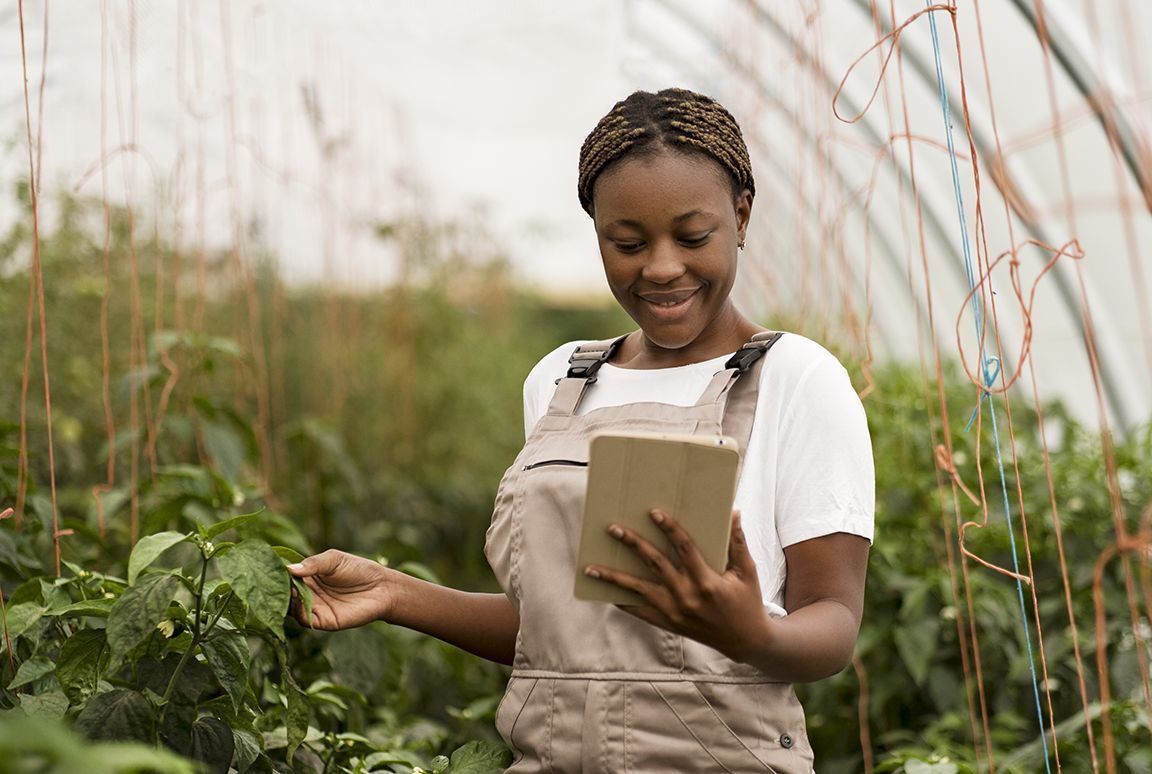 Alabama Agricultural and Mechanical University on LinkedIn: The Alabama Alabama Agricultural and Mechanical University on LinkedIn: The Alabama