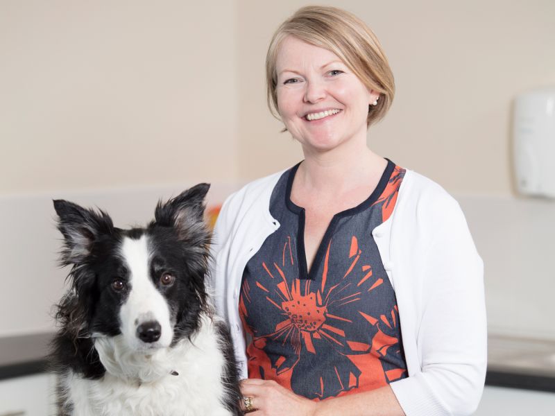 Dr. Kirsten Jensen - Associate Veterinarian - Hawaii Kai Veterinary Clinic  | LinkedIn