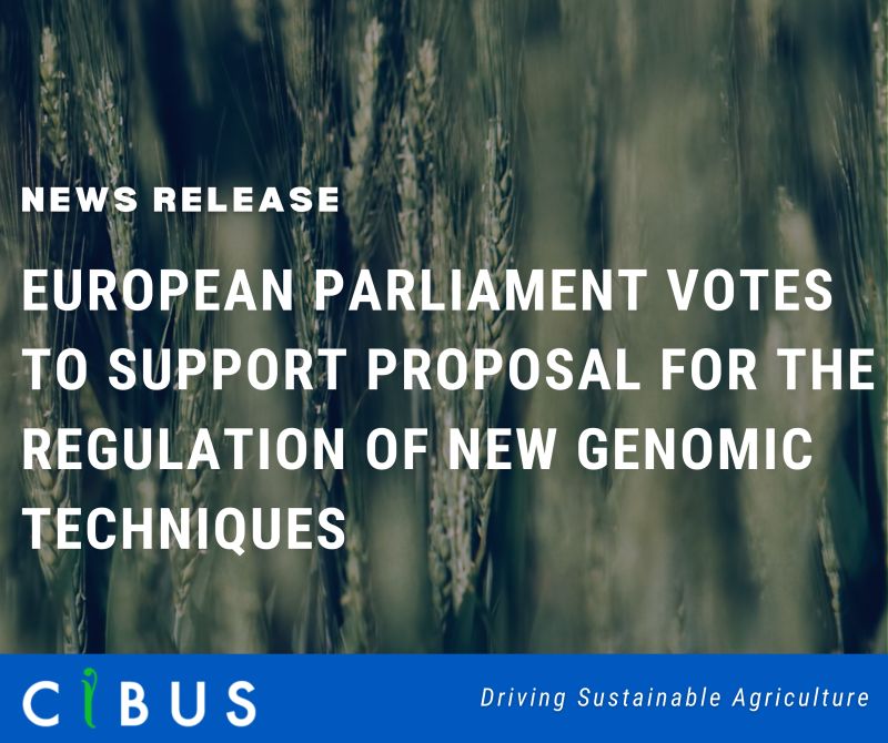 Rory Riggs on LinkedIn: European Parliament Votes to Support Proposal Rory Riggs on LinkedIn: European Parliament Votes to Support Proposal