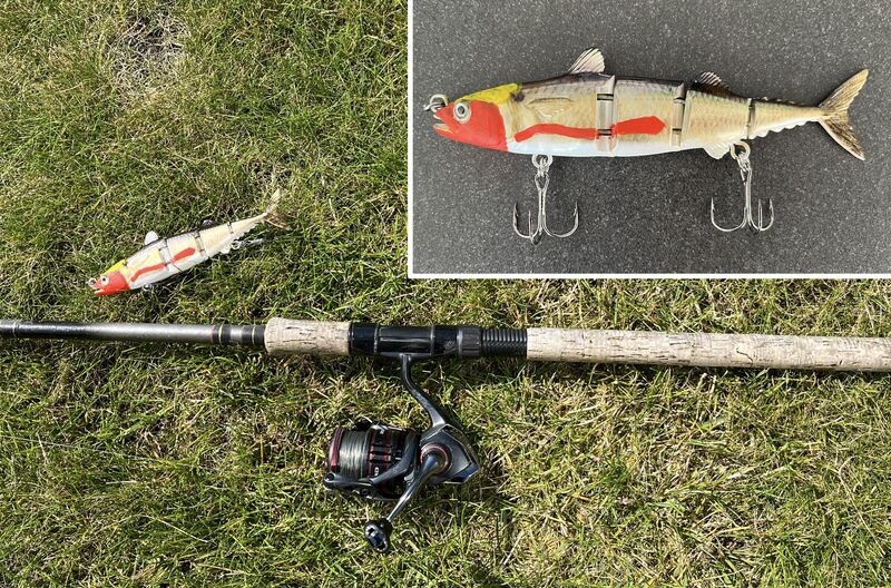 Neil Griffiths on LinkedIn: Latest invention - the Trump fishing