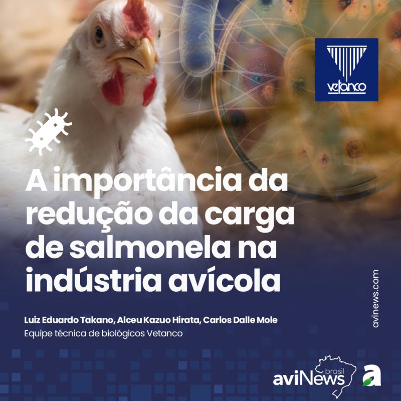 Salmoneloses - aviNews, the global poultry magazine