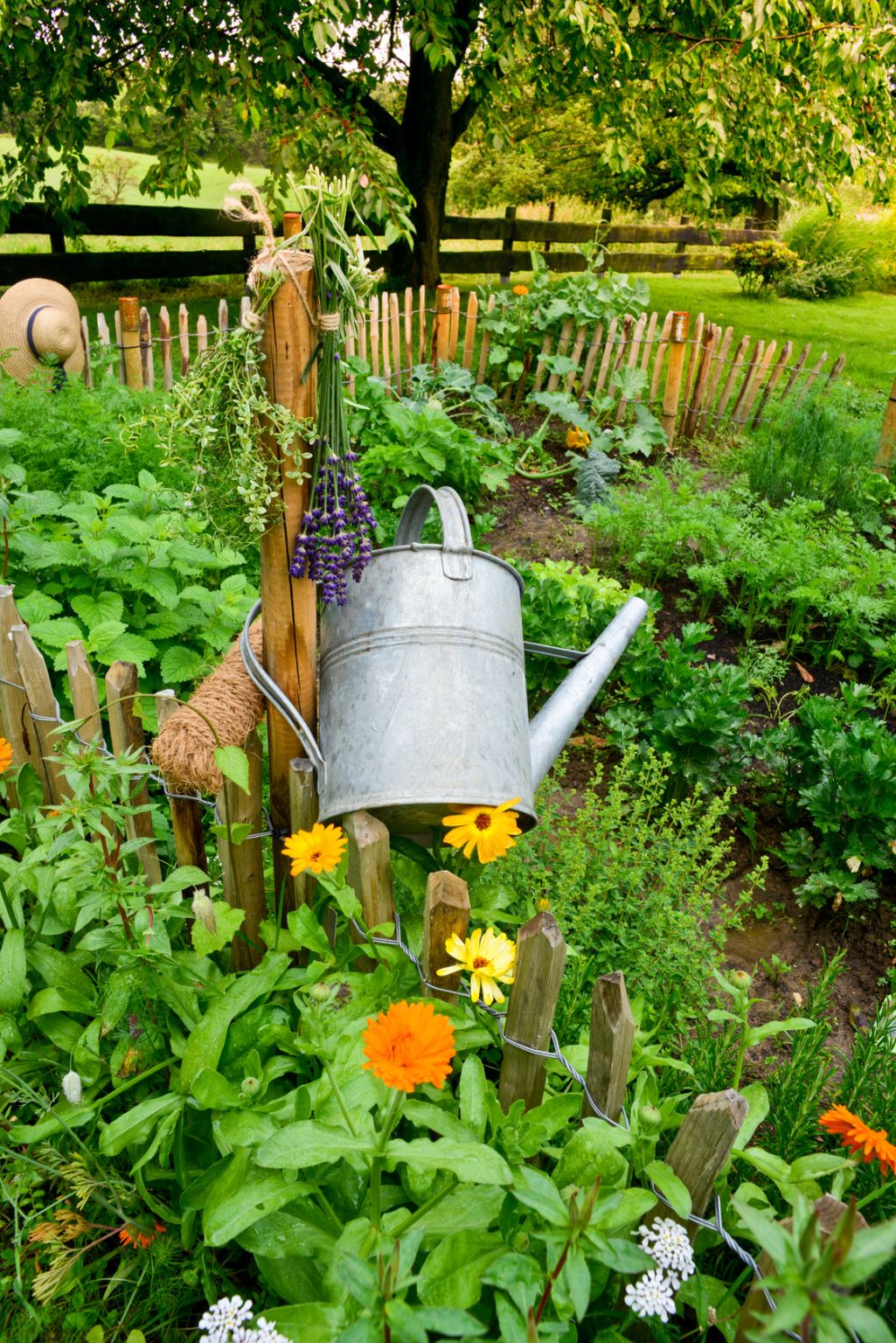 Marcia Hebert M Ed on LinkedIn: Take some inspiration from THIS garden Marcia Hebert M Ed on LinkedIn: Take some inspiration from THIS garden