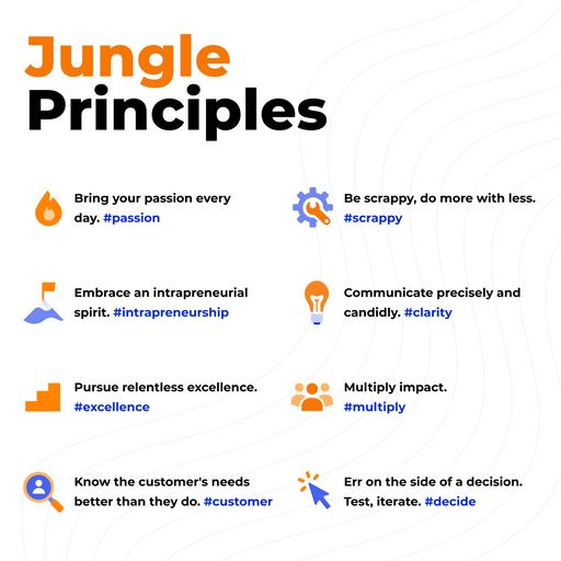 Image result for Top 5 Lessons Learned in the Corporate Jungle infographics