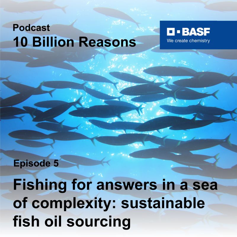 BASF Pharma Solutions on LinkedIn: Fishing for answers in a sea of BASF Pharma Solutions on LinkedIn: Fishing for answers in a sea of