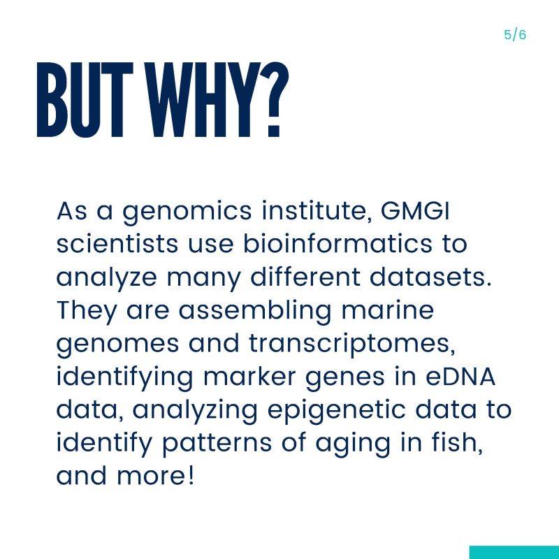 Shelly Wanamaker, Ph.D. - GMGI - Gloucester Marine Genomics Institute -  Gloucester, MA