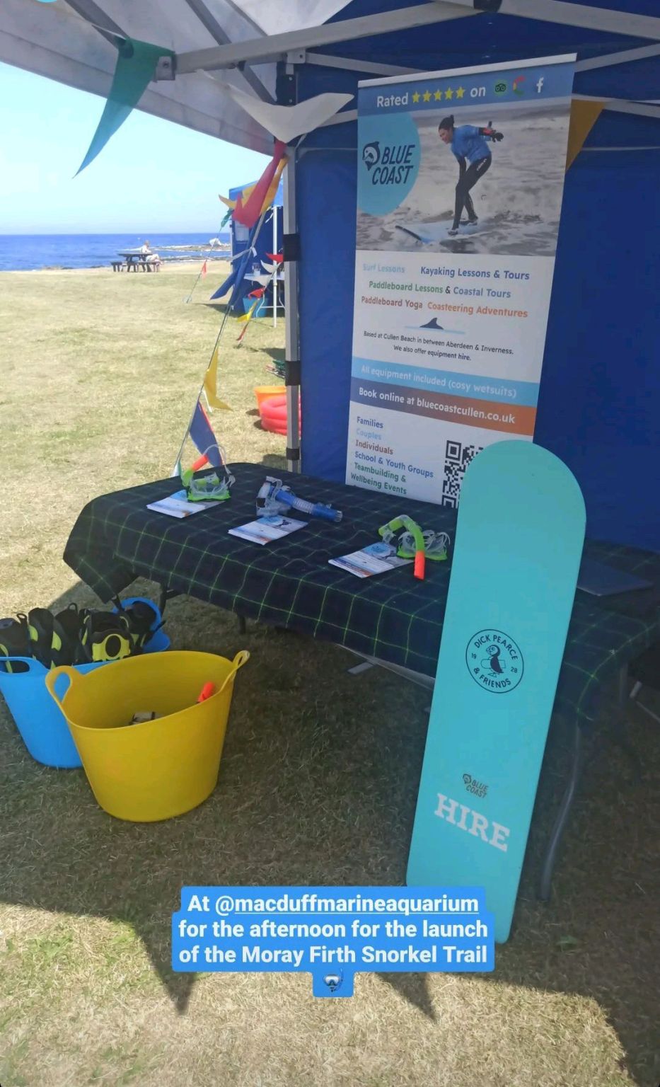 Adam El Naggar on LinkedIn: An afternoon at Macduff Marine Aquarium for Adam El Naggar on LinkedIn: An afternoon at Macduff Marine Aquarium for