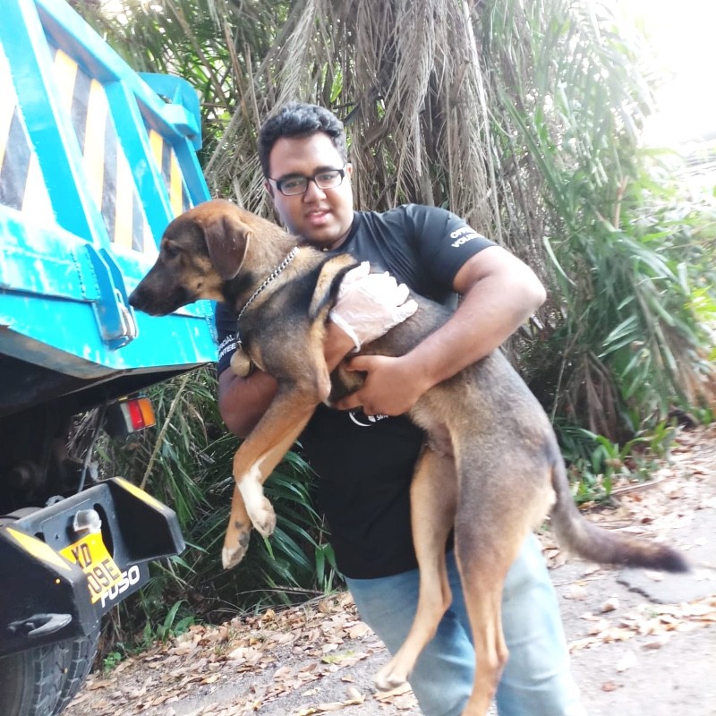Yuvaraj M - Volunteer Wildlife Rescue Officer - ACRES Singapore (Animal  Concerns Research & Education Society) | LinkedIn