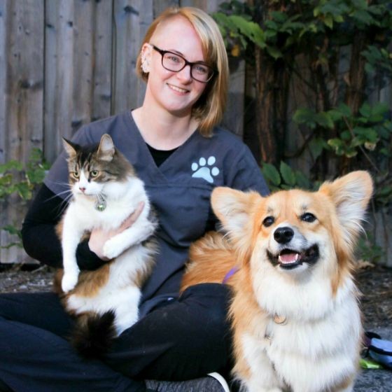 Noelle Belvin - Lead Registered Veterinary Technician - Davisville Park Animal  Hospital (Vet Clinic Mount Pleasant) | LinkedIn
