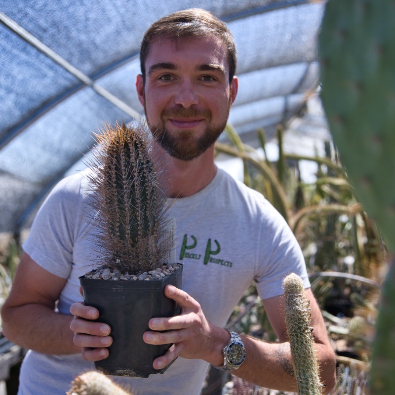 Michiel Pillet - Program Officer - IUCN SSC Cactus and Succulent Plants Specialist Group | LinkedIn