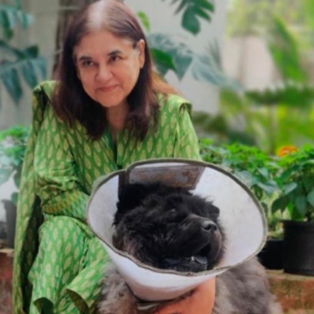 Maneka Sanjay Gandhi - Chairperson - People for Animals,India (PFA) |  LinkedIn