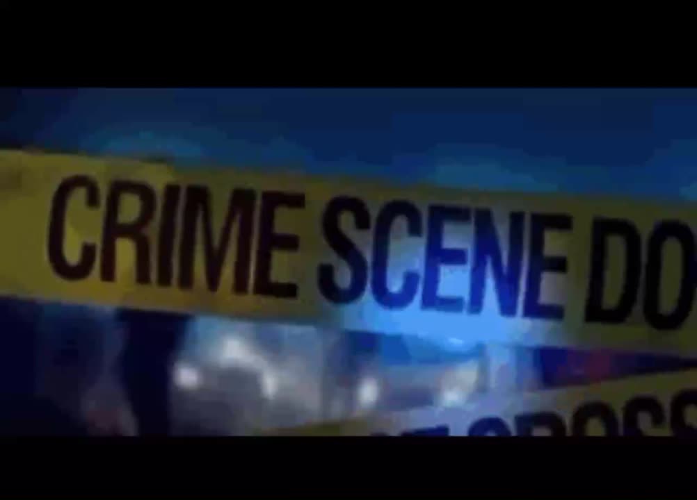 Chana Milleršøš» on LinkedIn: #forensicaccounting #accounting #quickbooks Chana Milleršøš» on LinkedIn: #forensicaccounting #accounting #quickbooks