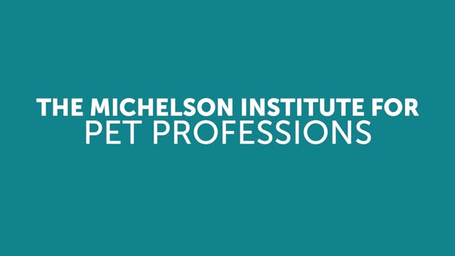 Michelson Found Animals Foundation | LinkedIn