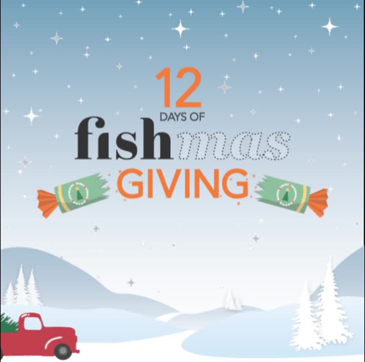 Rebecca Hamilton on LinkedIn: I love 12 Days of Fishmas! Stay tuned!