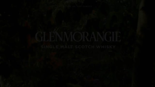 Anne Luu on LinkedIn: Introducing 'A Tale of the Forest' by Glenmorangie, a  lush and invitingly…