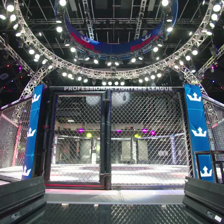 Professional Fighters League