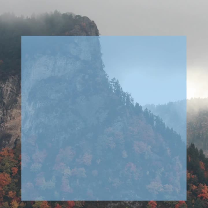 Academy of Lymphatic Studies LLC on LinkedIn: #acols #lymphaticsystem Academy of Lymphatic Studies LLC on LinkedIn: #acols #lymphaticsystem