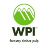 Winstone Pulp International Limited (WPI)