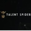 Talent Spider IT consulting company