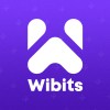 Wibits Web Solutions LLP
