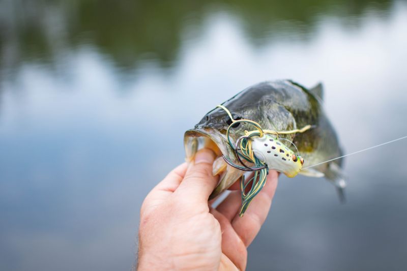 10 Must-Have Fishing Lures