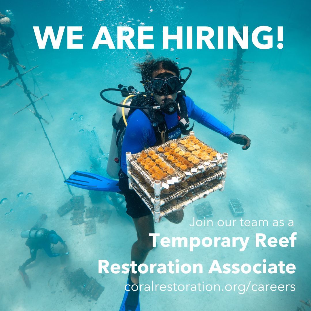 Coral Restoration Foundation™ on LinkedIn: Join Our Mission! Job Alert ...
