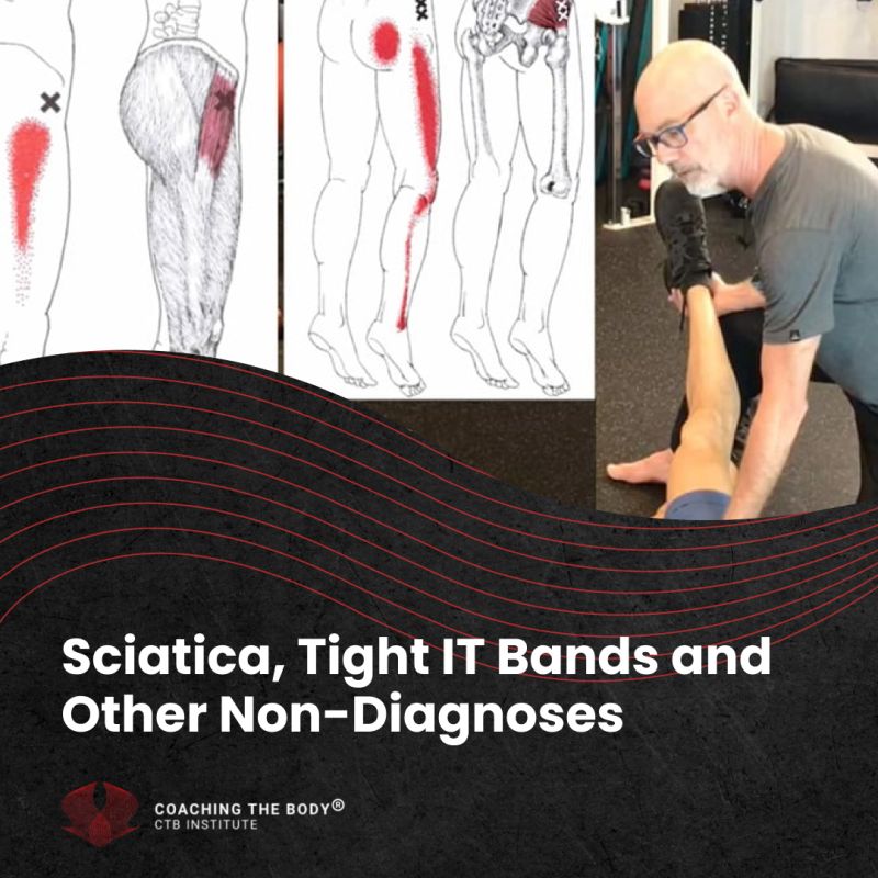 Chuck Duff on LinkedIn: Sciatica and tight IT bands are often  misdiagnosed conditions that…