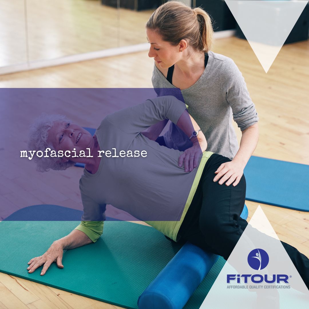 FiTOUR® Certifications on LinkedIn: #myofascialrelease #selfcare # FiTOUR® Certifications on LinkedIn: #myofascialrelease #selfcare #