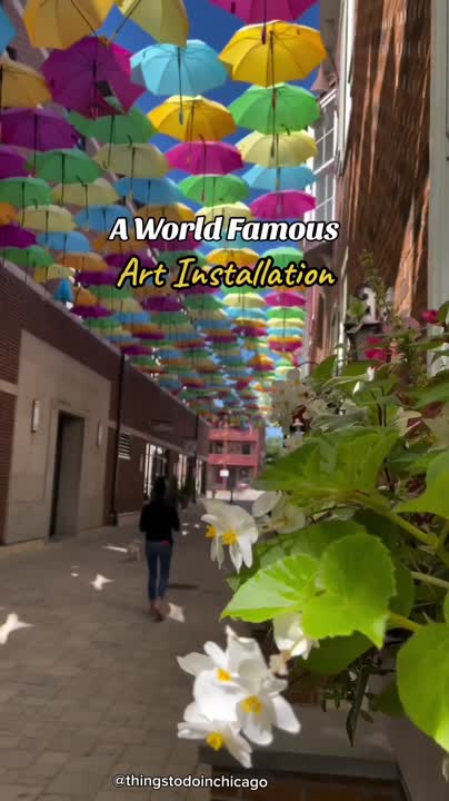 Video Kinga Andrzejewska on LinkedIn: #thingstodoinchicago #chicago # Video Kinga Andrzejewska on LinkedIn: #thingstodoinchicago #chicago #