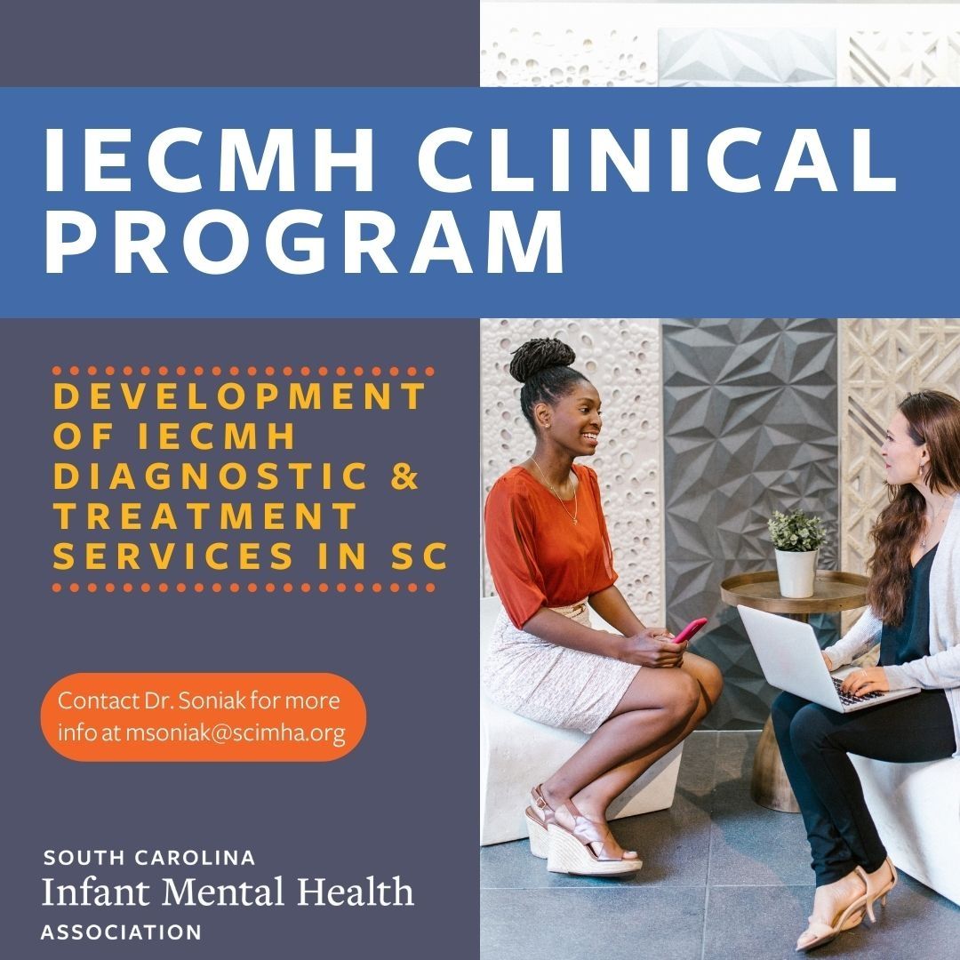 South Carolina Infant Mental Health Association on LinkedIn: # South Carolina Infant Mental Health Association on LinkedIn: #