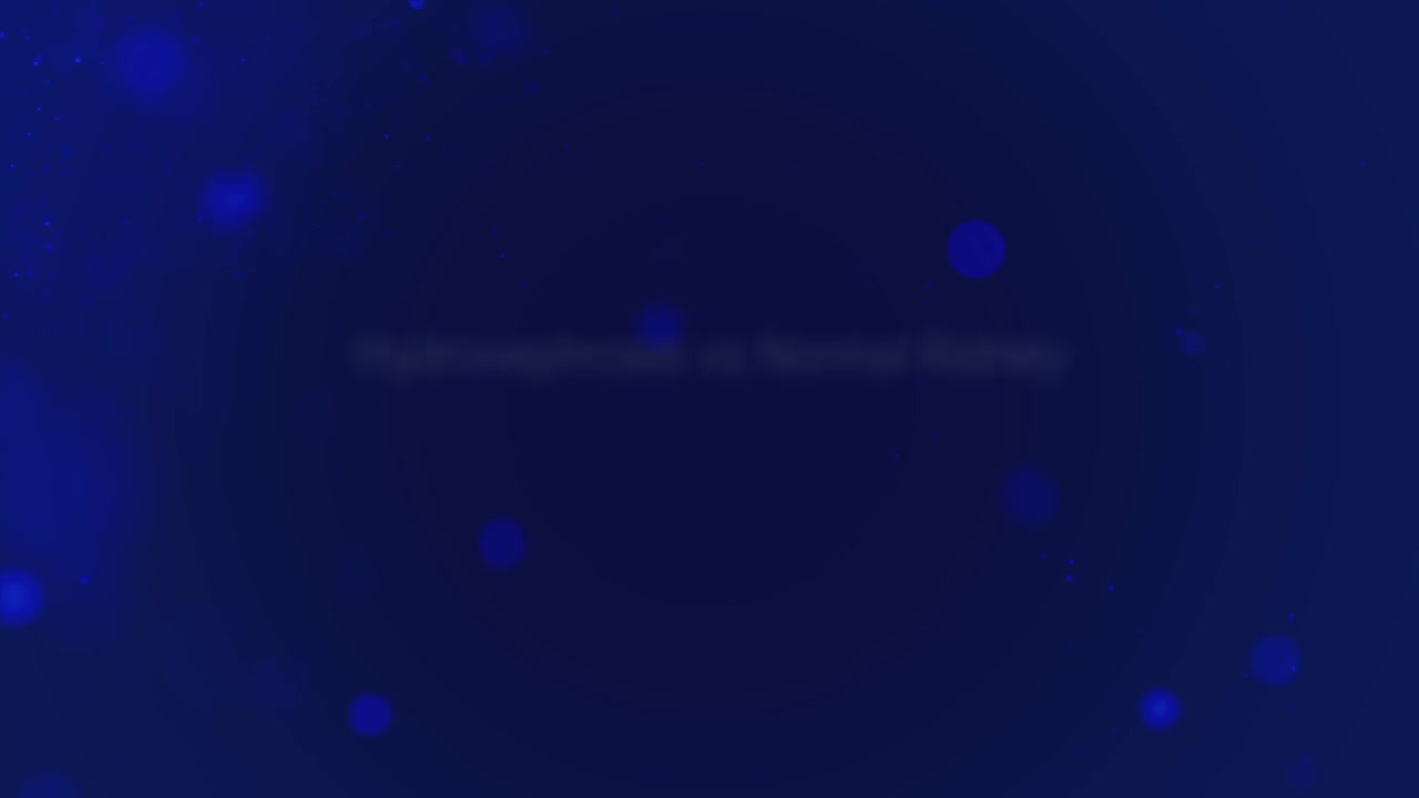 Point of Care Ultrasound Certification Academy on LinkedIn Point of Care Ultrasound Certification Academy on LinkedIn