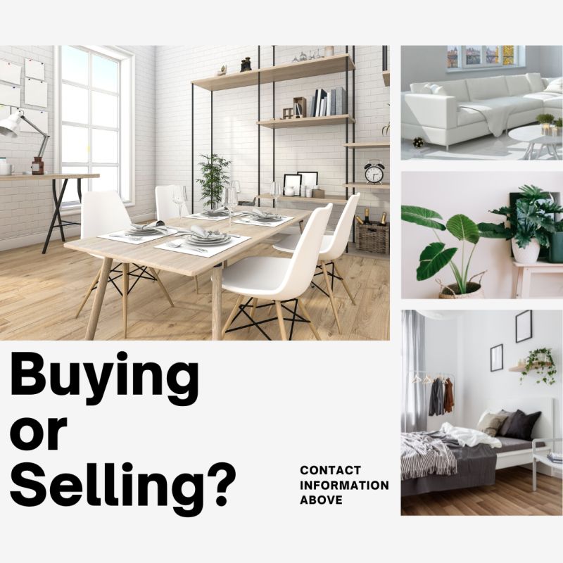 Michele Geweniger on LinkedIn michelegeweniger realtor