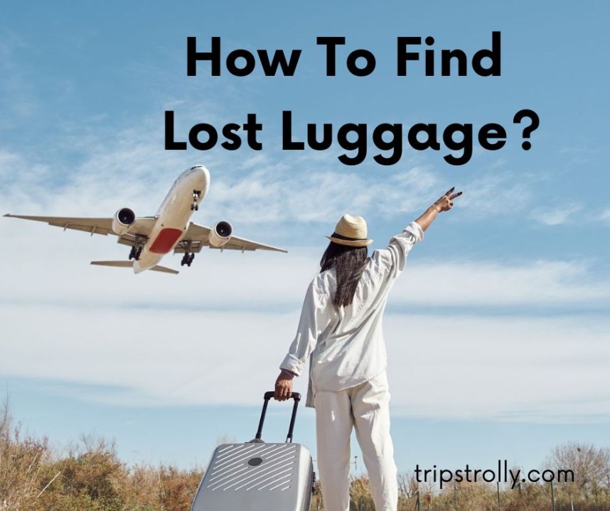 Turkish Airlines Lost Baggage Compensation | How to Claim