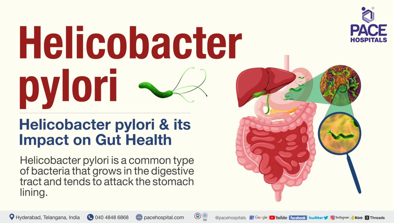 Helicobacter pylori and its Impact on Gut Health