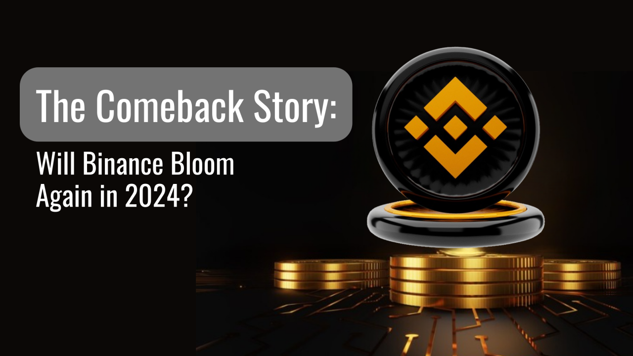 The Comeback Story: Will Binance Bloom Again in 2024?