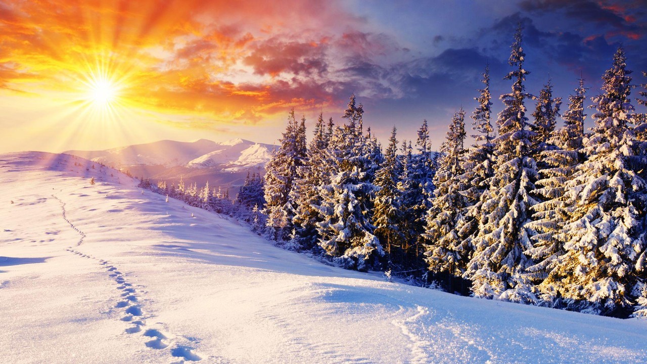 Embracing the Winter Sun: The Vital Importance of Daily Sunshine Exposure